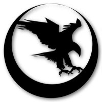 Nighthawk Custom Llc logo, Nighthawk Custom Llc contact details