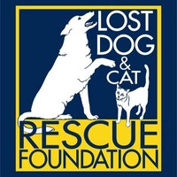 Lost Dog and Cat Rescue Foundation logo, Lost Dog and Cat Rescue Foundation contact details