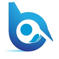 Banbros Consulting Private Limited logo, Banbros Consulting Private Limited contact details