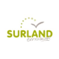 Viajes Surland logo, Viajes Surland contact details