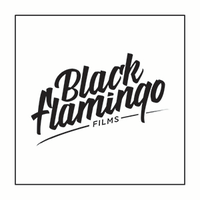 BLACK FLAMINGO FILMS logo, BLACK FLAMINGO FILMS contact details