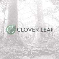 Clover Leaf Solutions Inc. logo, Clover Leaf Solutions Inc. contact details