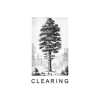 C L E A R I N G logo, C L E A R I N G contact details