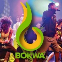 Bokwa Fitness logo, Bokwa Fitness contact details