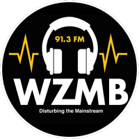 WZMB 91.3 FM logo, WZMB 91.3 FM contact details