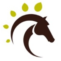 Horses and Pathfinders, LLC logo, Horses and Pathfinders, LLC contact details