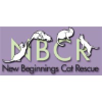 New Beginnings Cat Rescue; Inc. logo, New Beginnings Cat Rescue; Inc. contact details