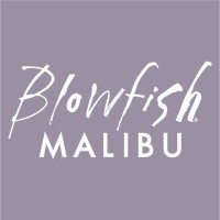 BLOWFISH SHOE LLC logo, BLOWFISH SHOE LLC contact details