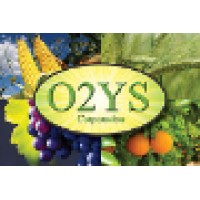 O2YS Corporation logo, O2YS Corporation contact details