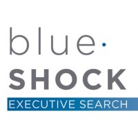 Blue Shock Executive Search logo, Blue Shock Executive Search contact details