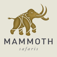 Mammoth Safaris logo, Mammoth Safaris contact details