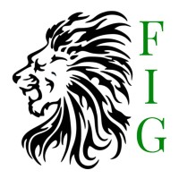 Finance and Investment Group logo, Finance and Investment Group contact details