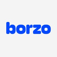 Borzo Brasil logo, Borzo Brasil contact details