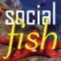 Social Fish Media logo, Social Fish Media contact details