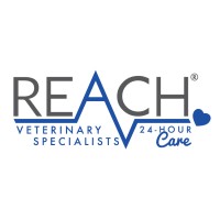 REACH Veterinary Specialists logo, REACH Veterinary Specialists contact details