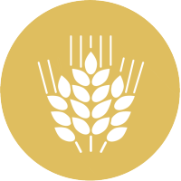 Direct Grain logo, Direct Grain contact details