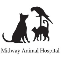 Midway Animal Hospital logo, Midway Animal Hospital contact details