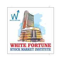 White Fortune Financial Institute logo, White Fortune Financial Institute contact details