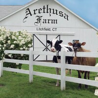 Arethusa Farm Dairy logo, Arethusa Farm Dairy contact details