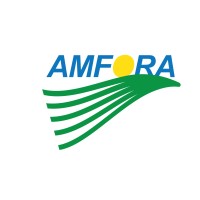 Amfora logo, Amfora contact details