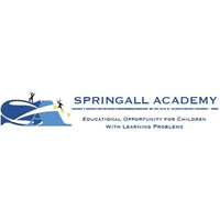 Springall Academy logo, Springall Academy contact details