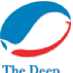 The Deep Seafood Co LLC logo, The Deep Seafood Co LLC contact details