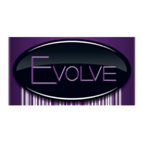 Evolve Business Solutions logo, Evolve Business Solutions contact details