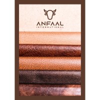 Anfaal International logo, Anfaal International contact details