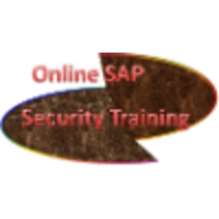 Online SAP Security Training logo, Online SAP Security Training contact details