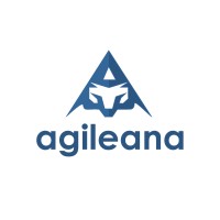 Agileana - Lean, Agile, Development and Digital Services, a Woman Owned Small Business logo, Agileana - Lean, Agile, Development and Digital Services, a Woman Owned Small Business contact details