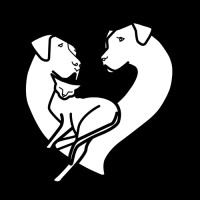 Melrose Animal Clinic logo, Melrose Animal Clinic contact details