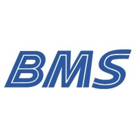 BMS | Grupo BLG e Mosolf logo, BMS | Grupo BLG e Mosolf contact details