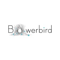 Bowerbird Architects logo, Bowerbird Architects contact details