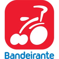 Brinquedos Bandeirante S/A logo, Brinquedos Bandeirante S/A contact details