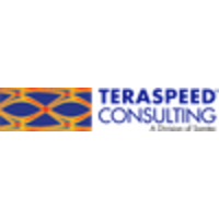 Teraspeed Consulting Group Llc logo, Teraspeed Consulting Group Llc contact details