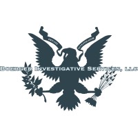 BOERGER INVESTIGATIVE SERVICES, LLC logo, BOERGER INVESTIGATIVE SERVICES, LLC contact details