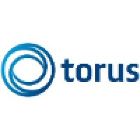 Torus Finance Consult logo, Torus Finance Consult contact details