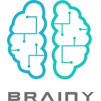 Brainy Resolution logo, Brainy Resolution contact details