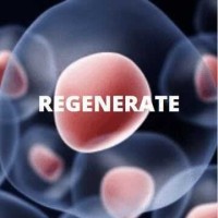 STEM Regenerate logo, STEM Regenerate contact details