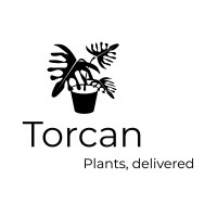 Torcan logo, Torcan contact details