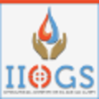 International Institute of Oil and Gas Safety logo, International Institute of Oil and Gas Safety contact details