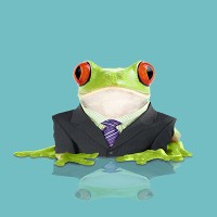 Leapfrog Services Inc logo, Leapfrog Services Inc contact details