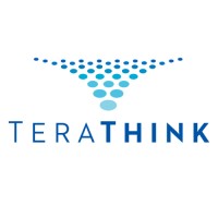 TeraThink Corporation logo, TeraThink Corporation contact details