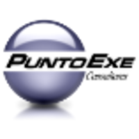 PuntoExe Consultores logo, PuntoExe Consultores contact details