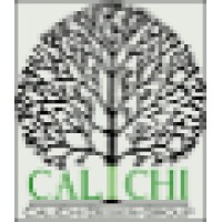 Calichi Design Group logo, Calichi Design Group contact details