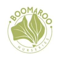 Boomaroo Nurseries logo, Boomaroo Nurseries contact details