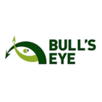 Bull's Eye Business Consulting Inc. logo, Bull's Eye Business Consulting Inc. contact details