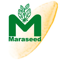 Maraseed logo, Maraseed contact details