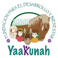 Fundación Yaakunah A.C logo, Fundación Yaakunah A.C contact details