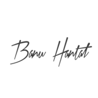 Banu Hantal Consulting LLC logo, Banu Hantal Consulting LLC contact details